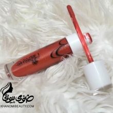 رژ لب مایع الستر 419